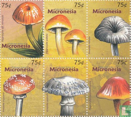 Mushrooms  
