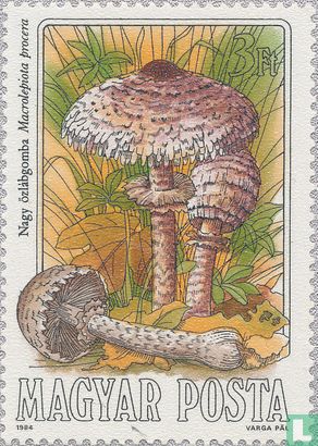 Eetbare paddenstoelen     