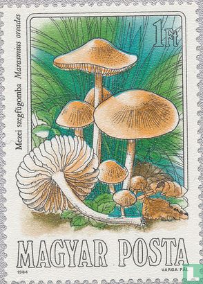 Eetbare paddenstoelen  