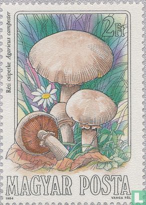 Eetbare paddenstoelen     