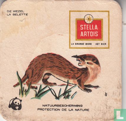 Natuurbescherming Zoogdieren : Wezel / La Belette