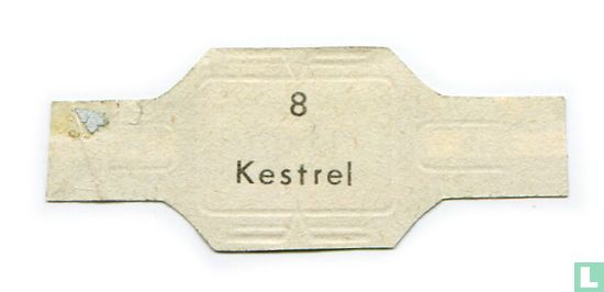 Kestrel  - Image 2