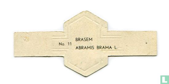 Brasem - Abramis brama L. - Afbeelding 2
