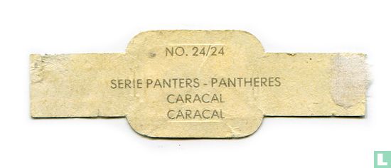 Caracal - Afbeelding 2