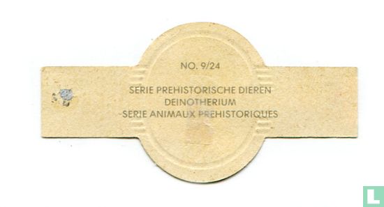 Deinotherium - Image 2