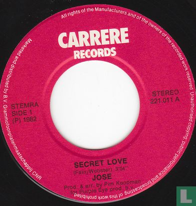 Secret Love - Image 3