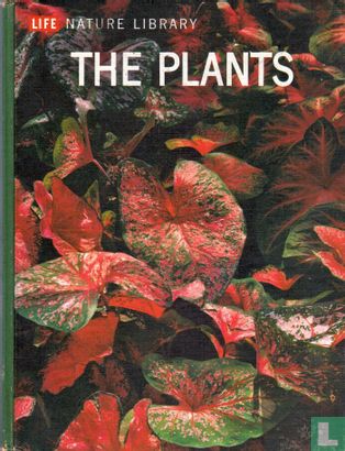 The Plants - Bild 1