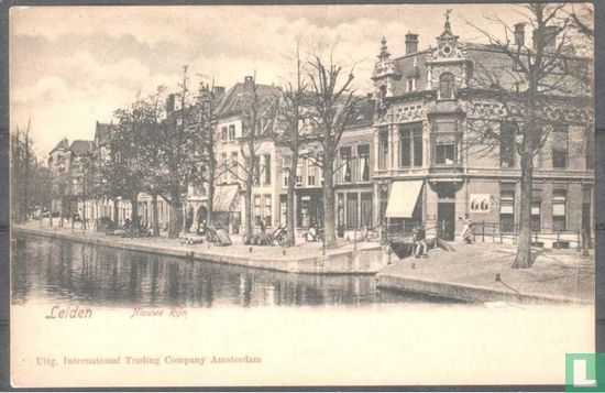 Leiden, Nieuwe Rijn