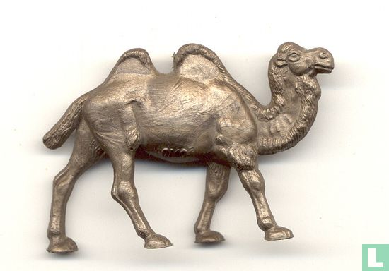 Camel - Image 1