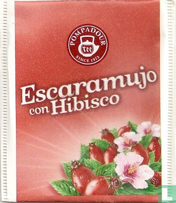 Escaramujo con Hibiscus   - Afbeelding 1