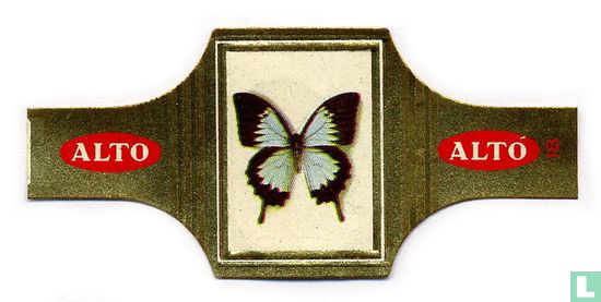 [Papilio Ulysses - Nieuw-Guinea] - Afbeelding 1
