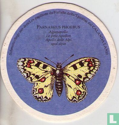 Vlinders: Parnassius Phoebus / Weizenbräu    - Image 1