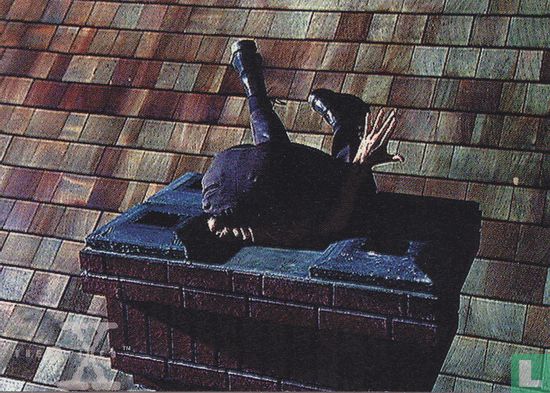 Tooms squeezes into chimney - Afbeelding 1