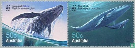 WWF - Wale 