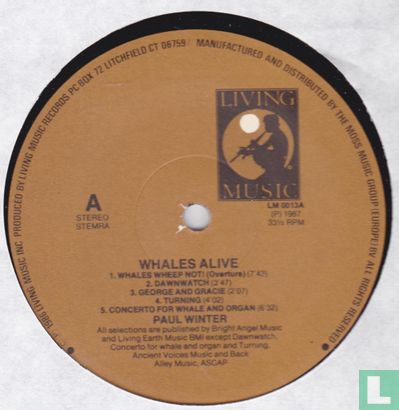 Whales Alive  - Image 3