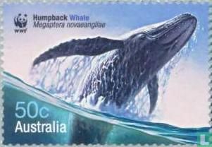 WWF - Walvissen