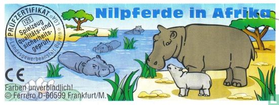 With young hippo - Image 2