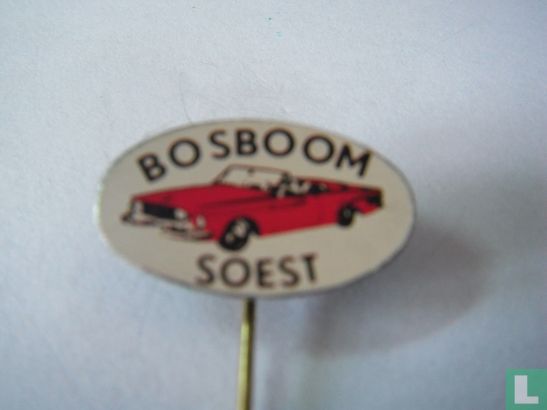 Bosboom Soest