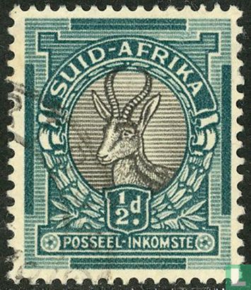 Springbok (Africain)
