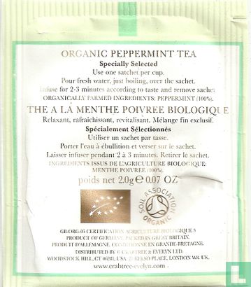 Organic Peppermint Tea - Afbeelding 2