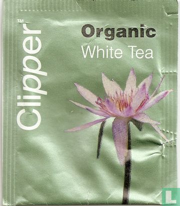 White Tea - Bild 1