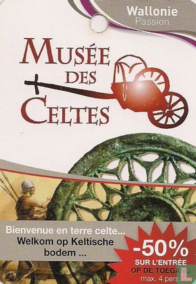 Musée des Celtes - Image 1