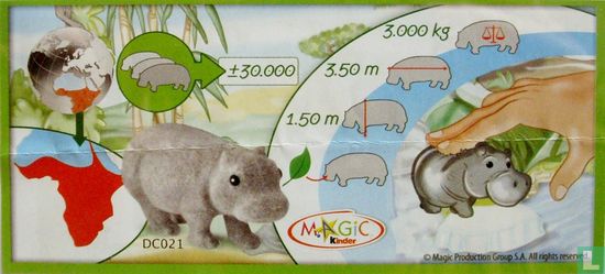 Hippo - Image 3