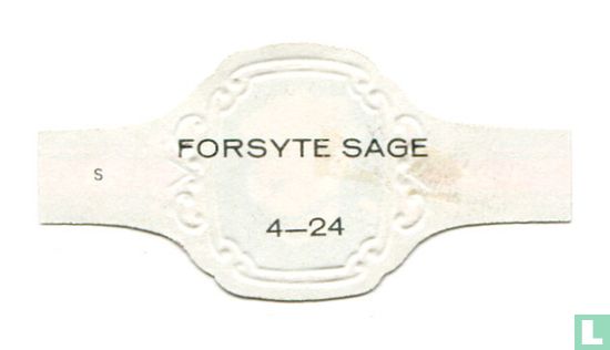 Forsyte Sage 4 - Afbeelding 2