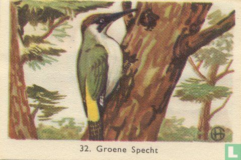 Groene Specht - Image 1