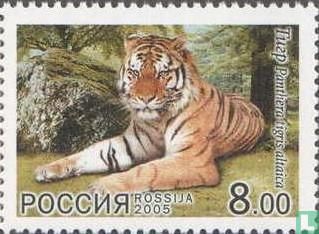 Fauna Russia