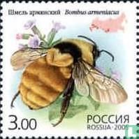 Bugs Bumblebees