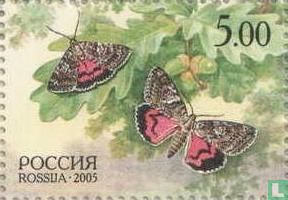 Wildlife Russia and Belarus