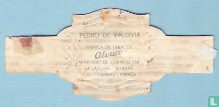 Pedro de Valdivia - Bild 2