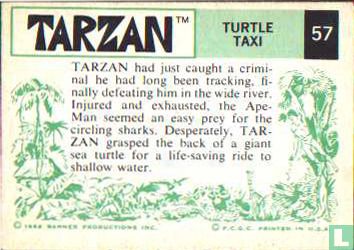 TURTLE TAXI - Image 2