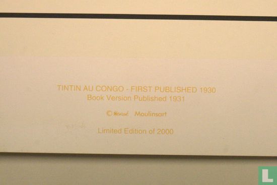 Tintin, reporter du Petit "Vingtième", au Congo - Afbeelding 2