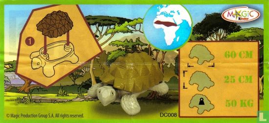 Schildpad - Afbeelding 3