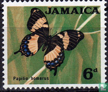 Papilio Homer