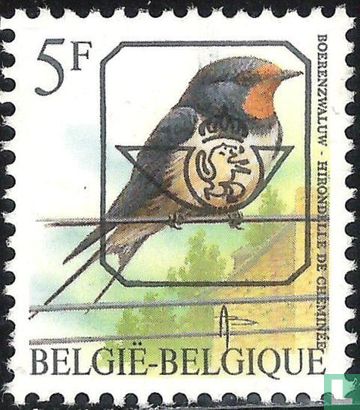 Barn swallow