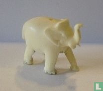 Elephant, ivory