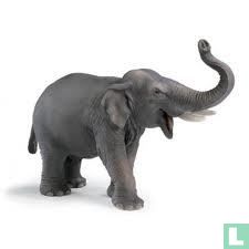 Député de l'éléphant d'Asie
