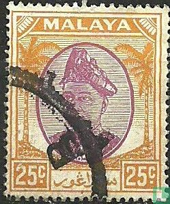 Sultan Hisamuddin Alam Shah 