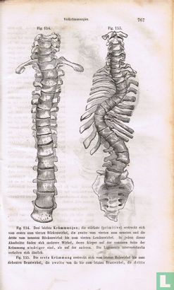 Lehrbuch der Chirurgie und Operationslehre Erster Band  - Image 3