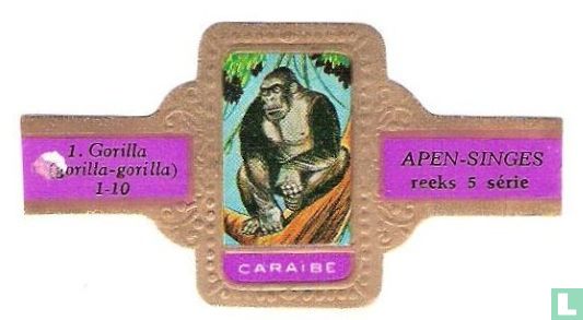 Gorilla (gorilla-gorilla) - Image 1