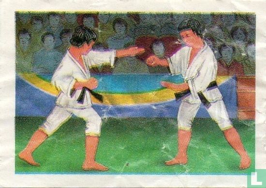 Judoka - Afbeelding 2