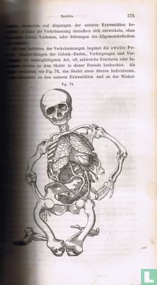 Lehrbuch der Chirurgie und Operationslehre Zweiter Band   - Image 3