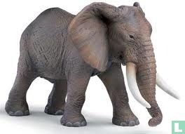 Homme Éléphant d'Afrique
