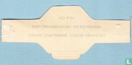 Collier, prairie est - Image 2