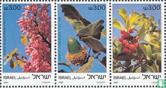 Trees of the Holy land - Image 1