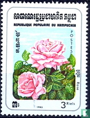 Rose bloem