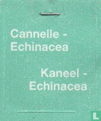 Cannelle - Echinacea - Image 3